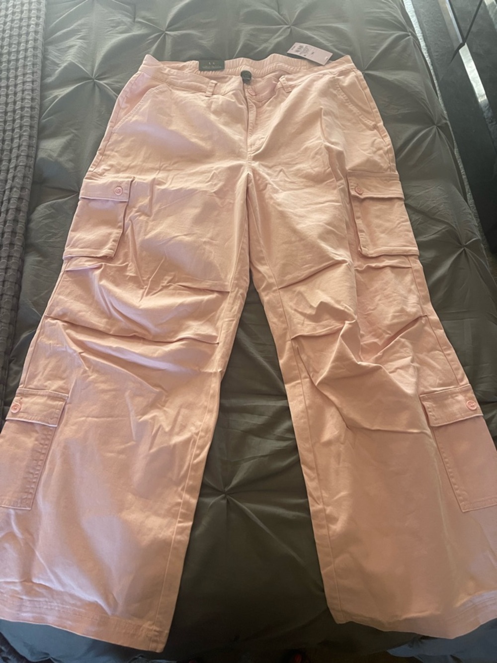 wild fable Light Pink Cargo Pants - XXL